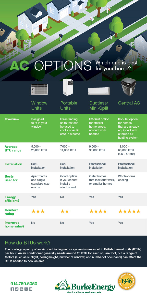 AC Options infographic 